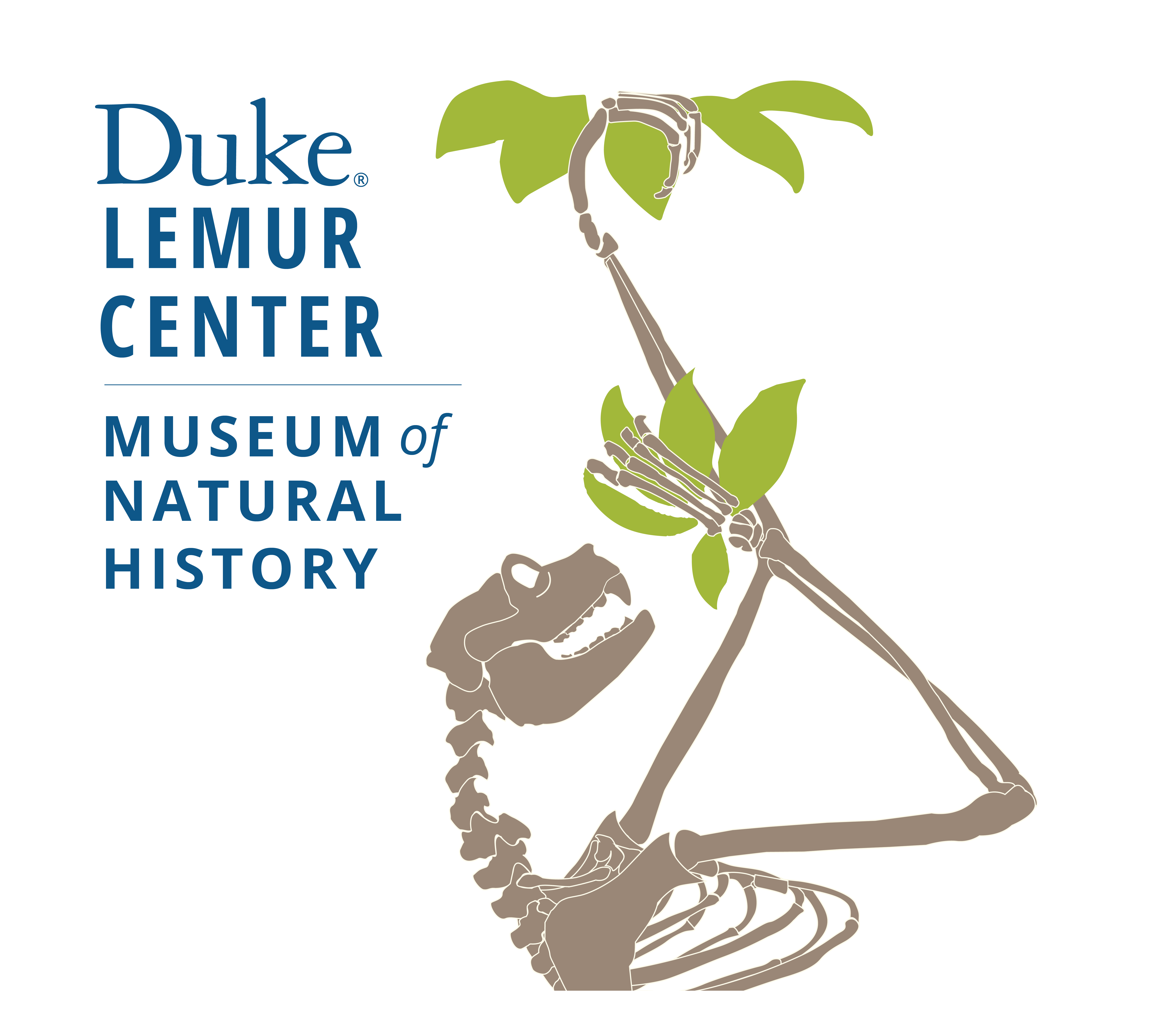 Duke Lemur Center Museum of Natural History
